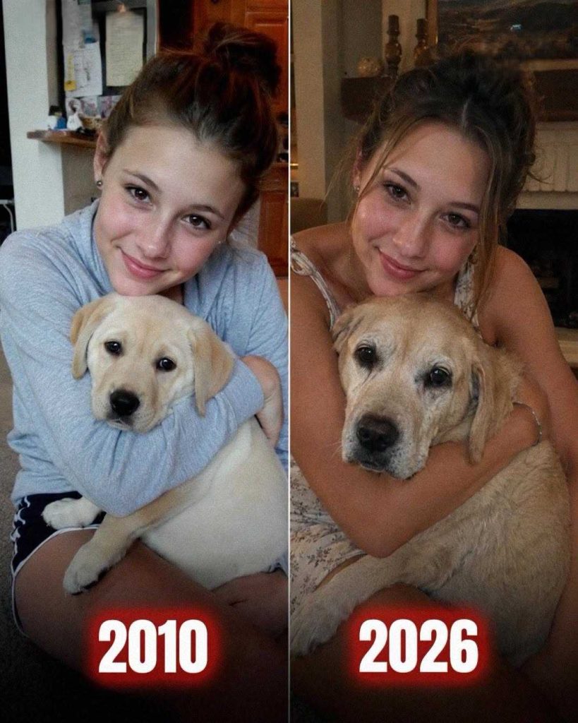 daughterdoglove daughterdoglove